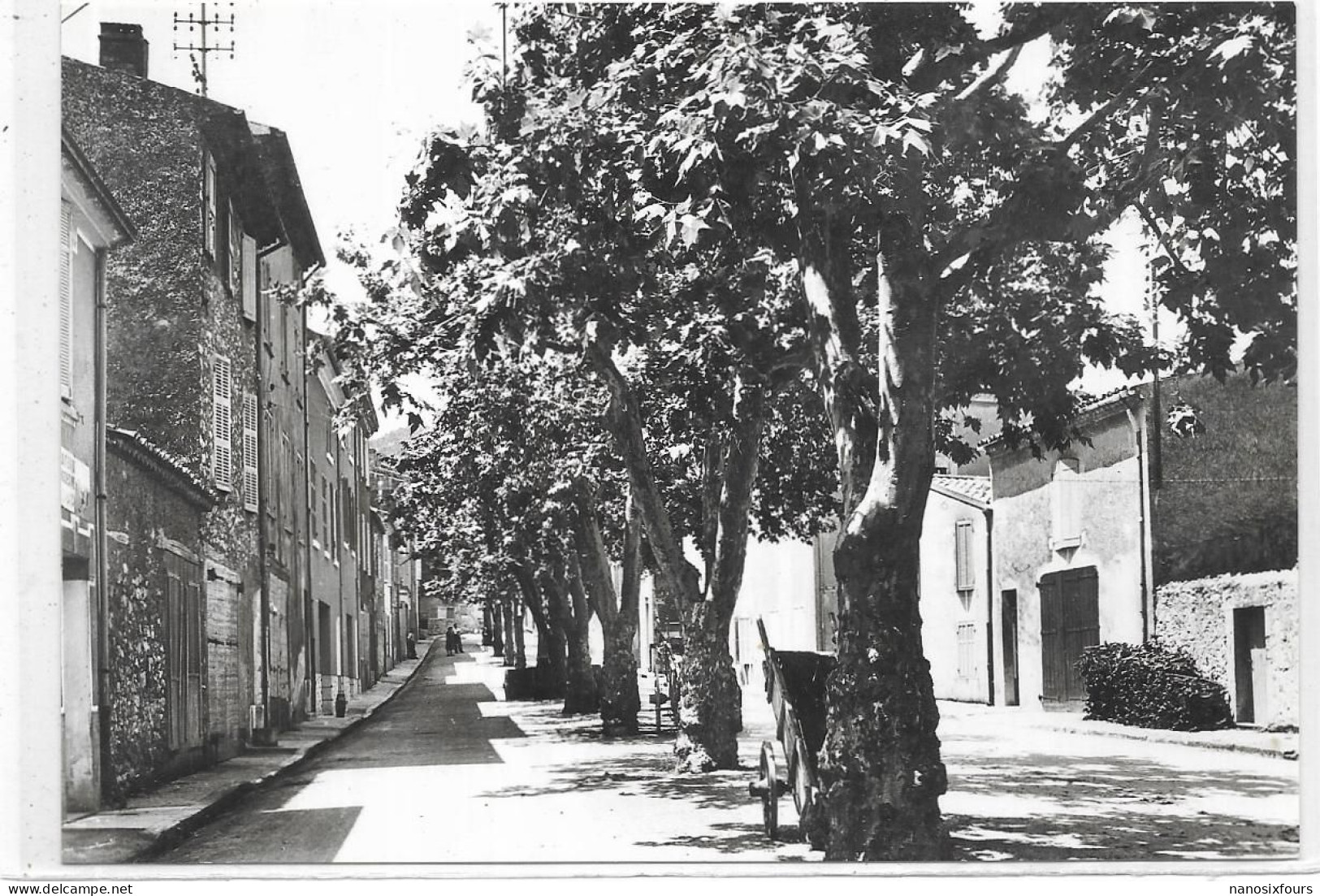 D 83. NANS LES PINS. BOULEVARD DE LA MECQUE - Nans-les-Pins