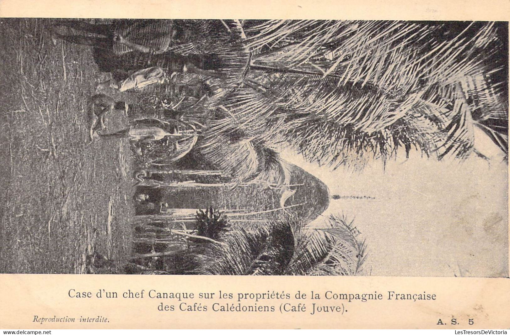 Nouvelle Calédonie - Case D'un Chef Canaque Sur Les Propriétés De La Compagnie Française Des.. - Carte Postale Ancienne - Nouvelle Calédonie