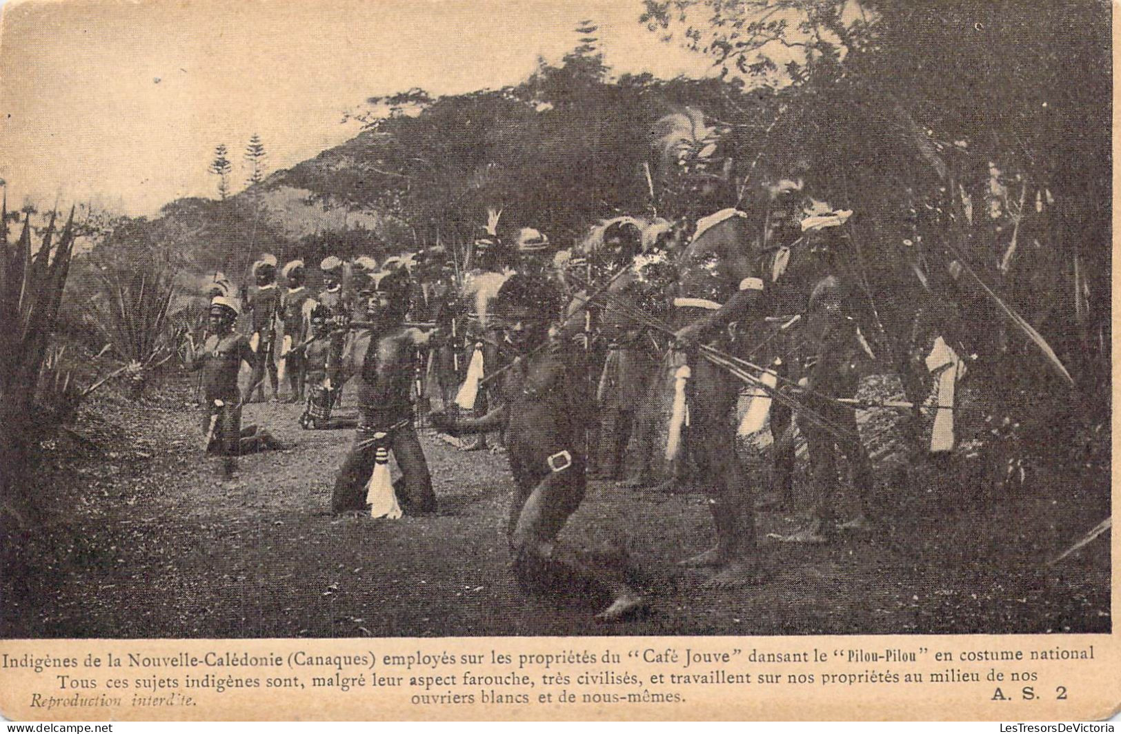 Nouvelle Calédonie - Indigènes De La Nouvelle-Calédonie - Employés Sur Les Propriétés Du Café.. - Carte Postale Ancienne - Nouvelle Calédonie