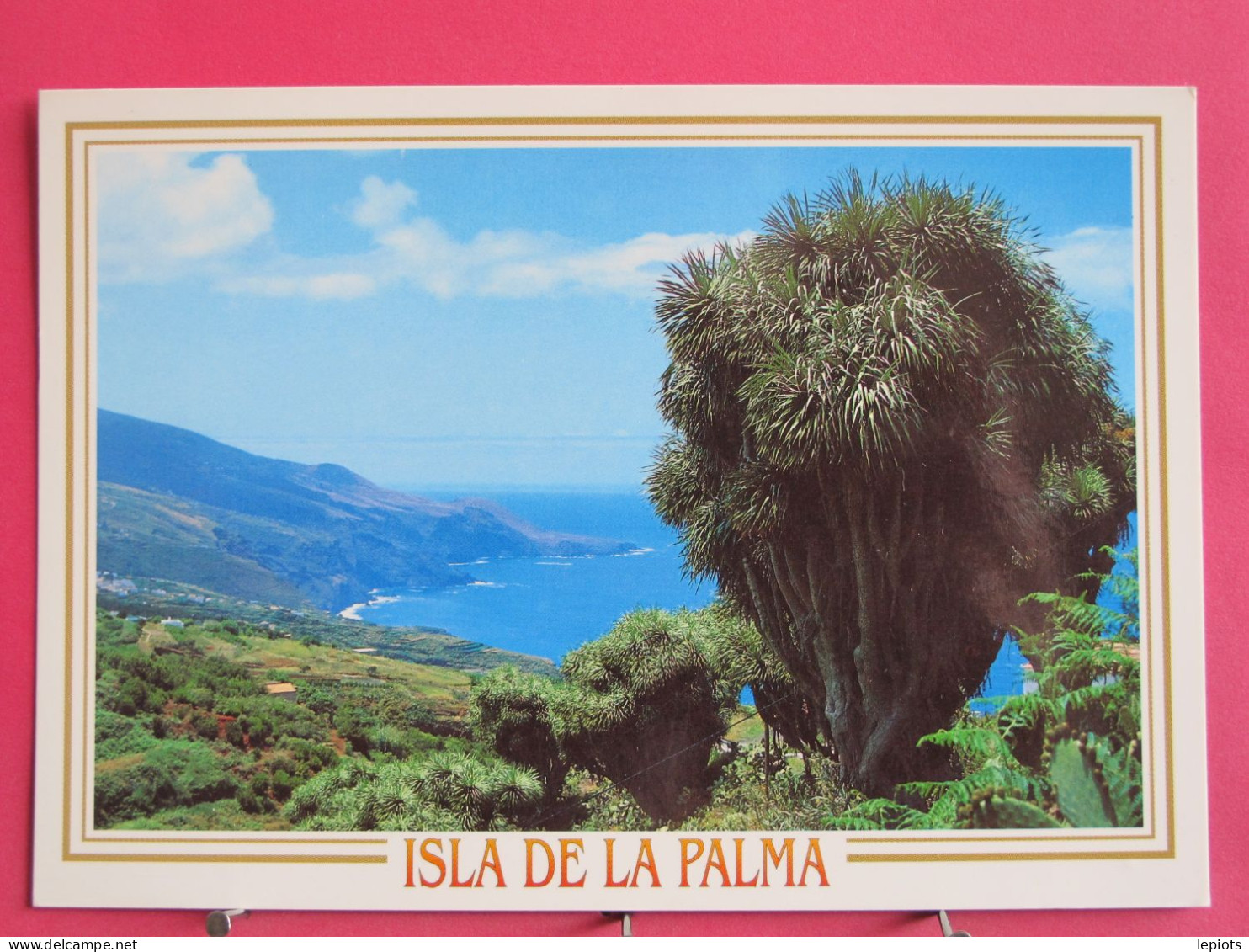 Visuel Très Peu Courant - Espagne - Islas Canarias - La Palma - La Tosca - Barlovento - Excellent état - La Palma