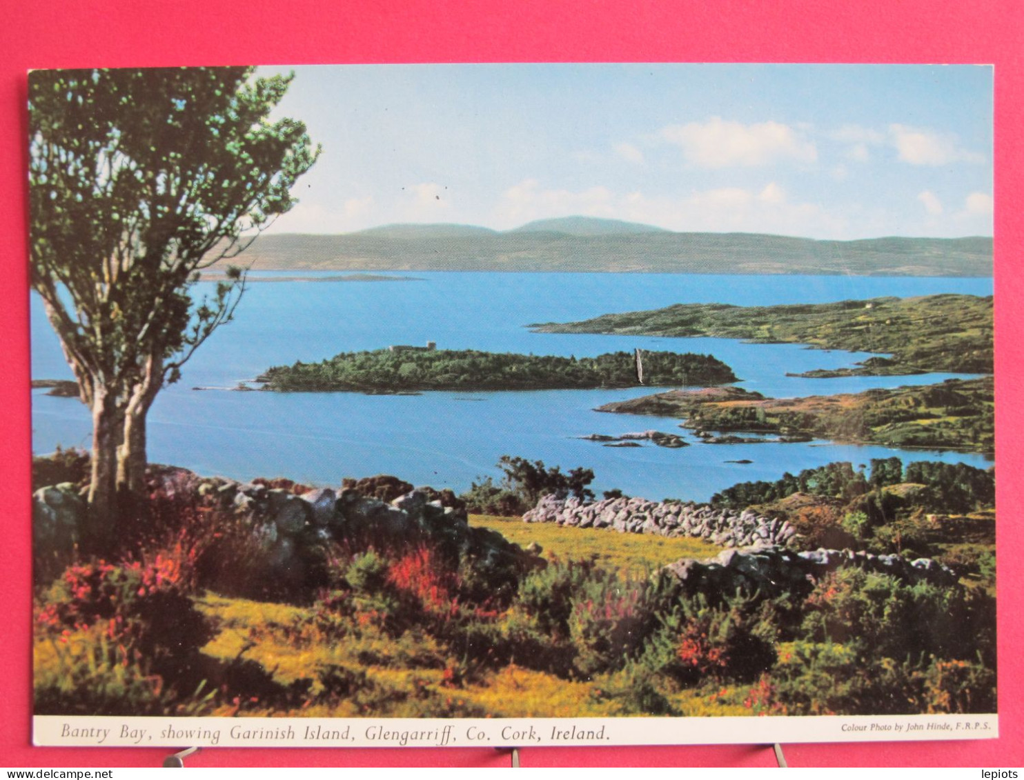 Irlande - Bantry Bay Showing Garinish Island - Glengarriff - Cork - Très Bon état - Cork