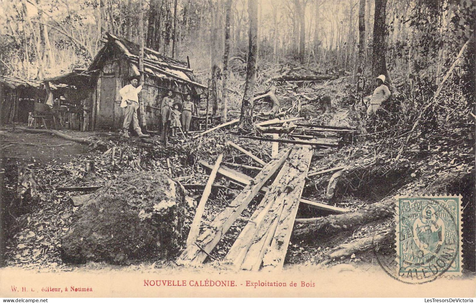 NOUVELLE CALEDONIE - Exploitation De Bois - Carte Postale Ancienne - Nouvelle Calédonie