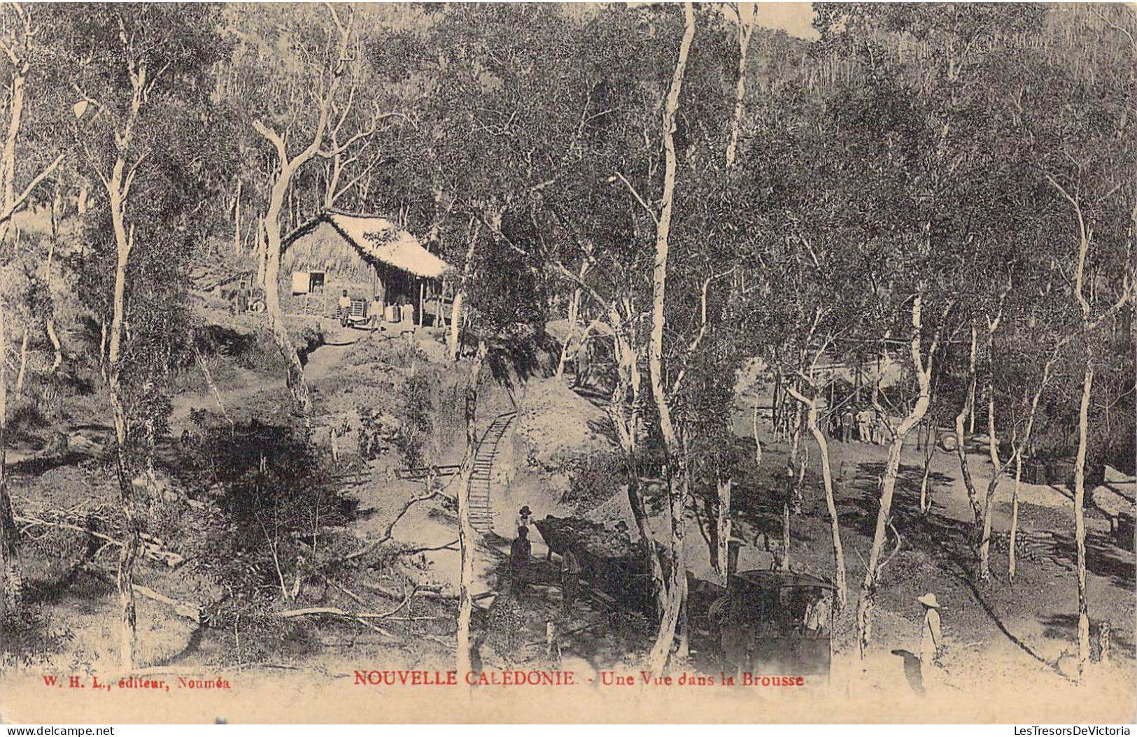 NOUVELLE CALEDONIE - Une Vue Dans La Brousse - Carte Postale Ancienne - Nouvelle Calédonie
