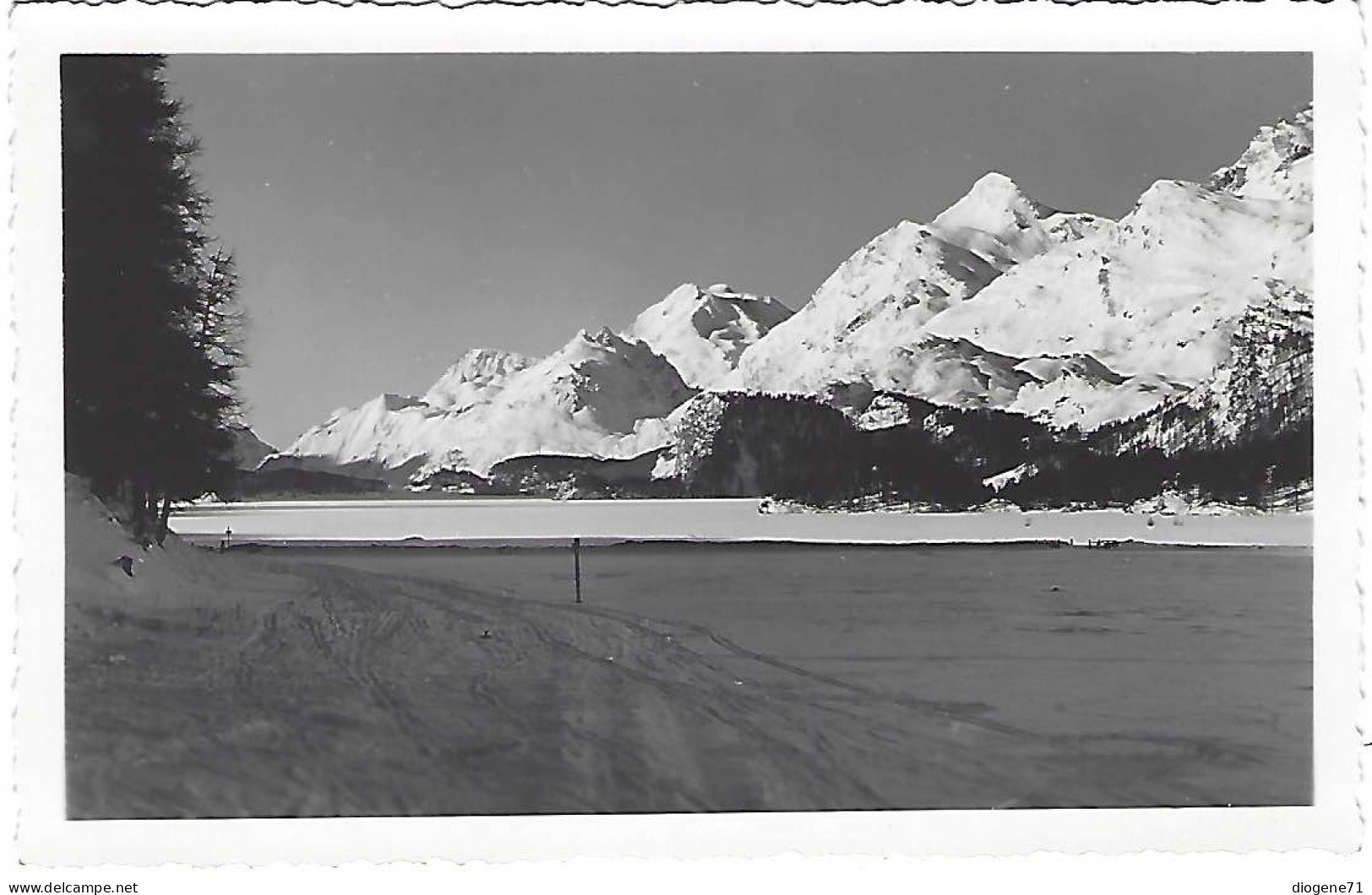 Sils Im Engadin Wintermorgen Feldpost - Sils Im Engadin/Segl