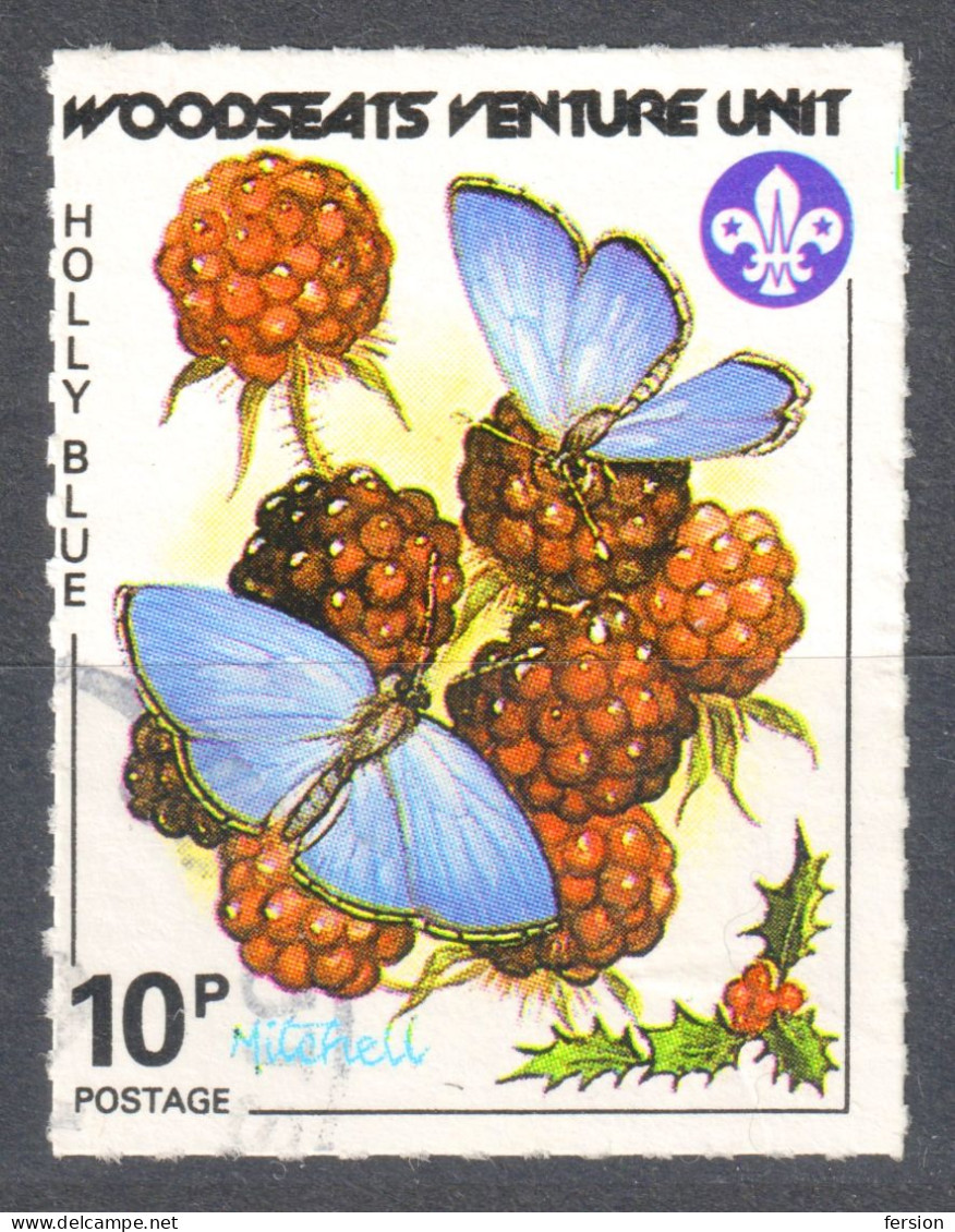Scout SCOUTS Post Sheffield / Butterfly Butterflies Holly Blue  VIGNETTE LABEL CINDERELLA BRITAIN ENGLAND - Usados