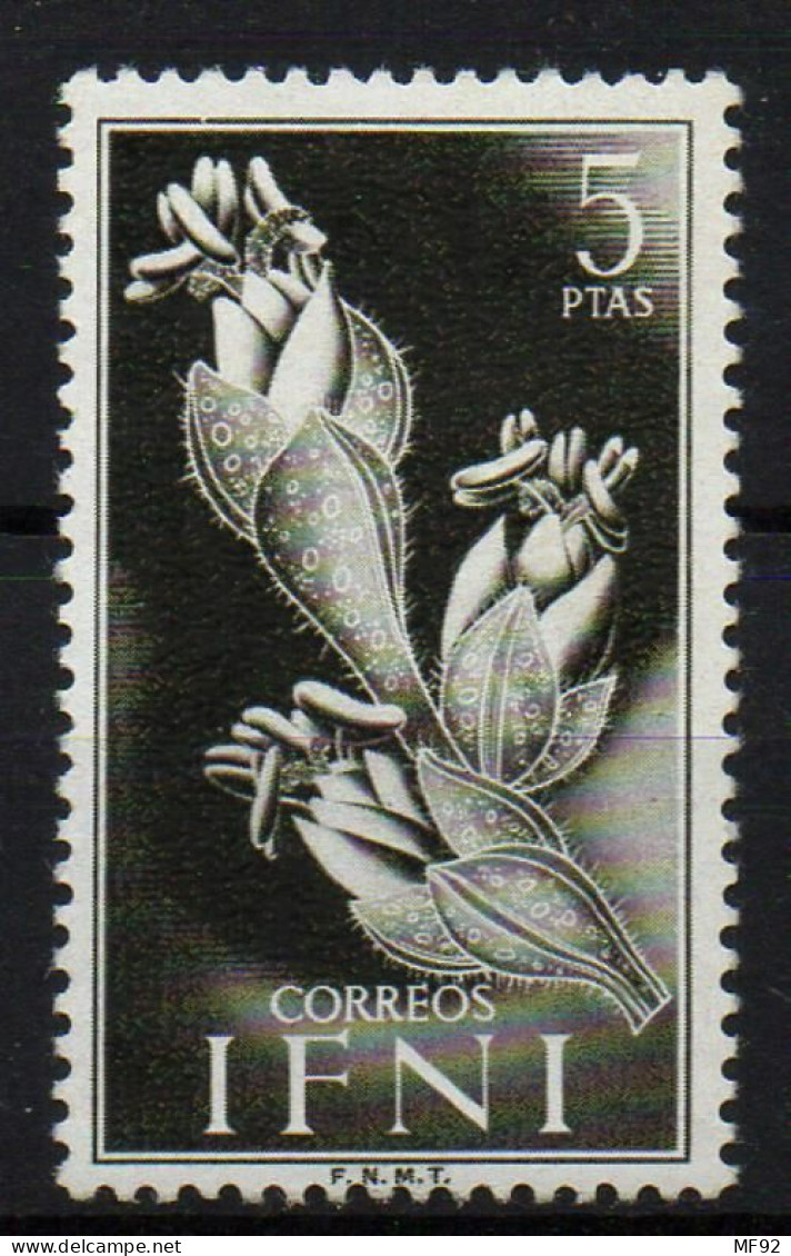 Ifni. Nº 113. Año 1954 - Ifni