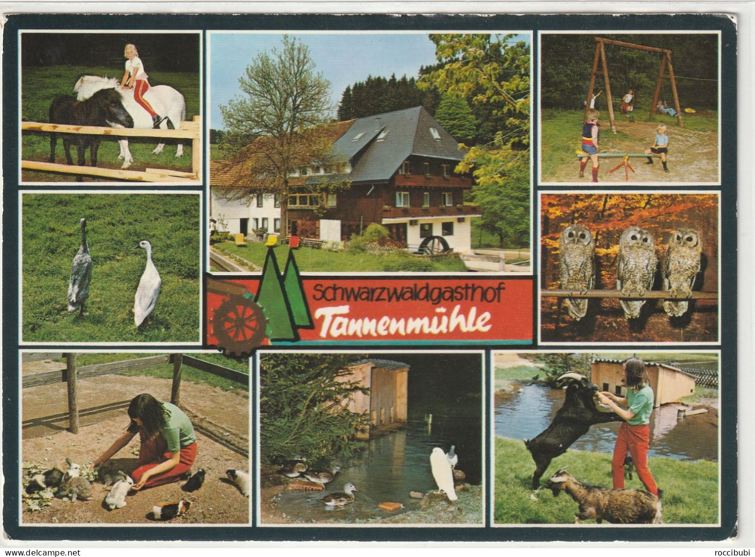 Grafenhausen, Gasthof "Tannenmühle", Hochschwarzwald, Baden-Württemberg - Hochschwarzwald