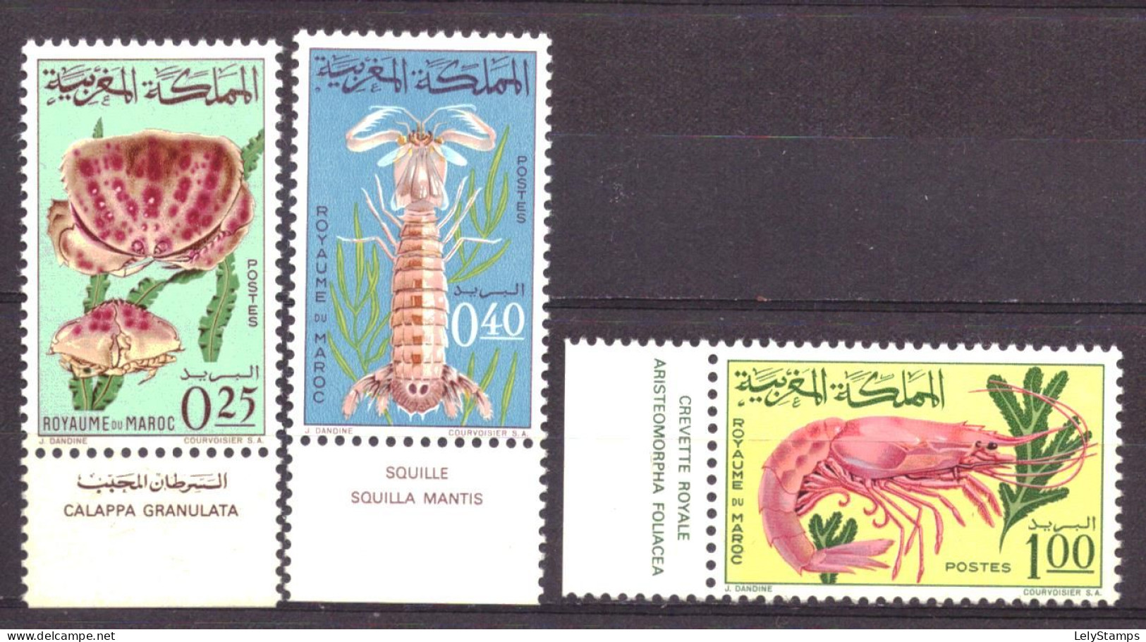 Marocco / Marokko / Maroc 553 T/m 555 MNH ** Animals Sea Nature (1965) - Maroc (1956-...)