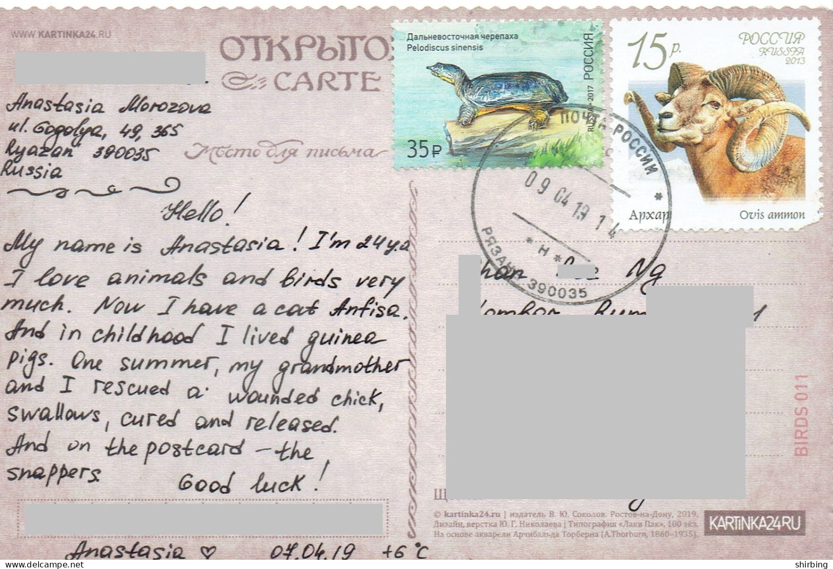 C11 : Russia - Tortoise, Ram Goat, Stamps Used On Postcard - Lettres & Documents