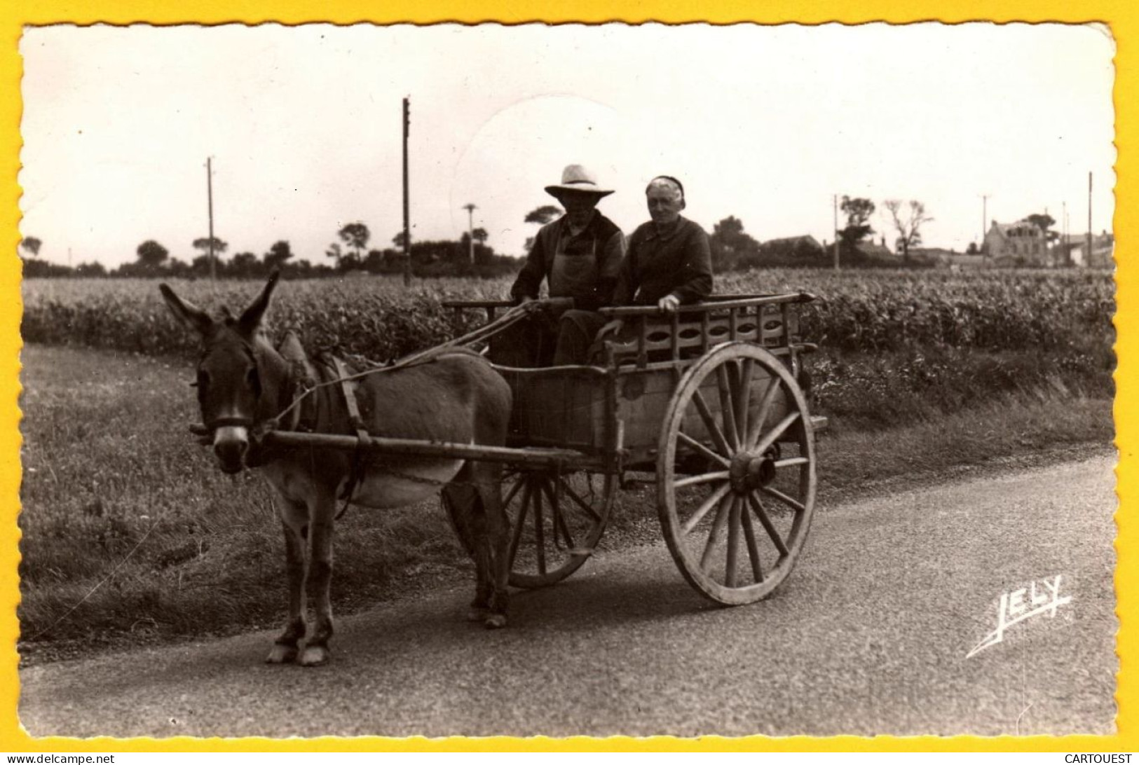 CPSM Le Marais Vendéen - Au Pays Des Monts- Retour Du Marché  Couple De Paysans ; Attelage Avec Un âne  1957 - Poitou-Charentes