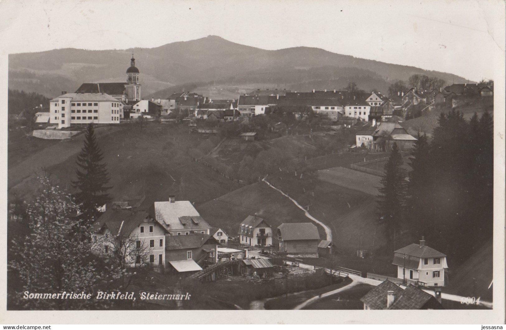 AK - Steiermark - Birkfeld - Alte Ortsansicht - 1948 - Birkfeld