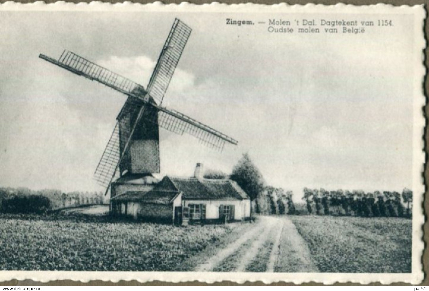 BELGIQUE / BELGIE - Zingem : Molen - Zingem