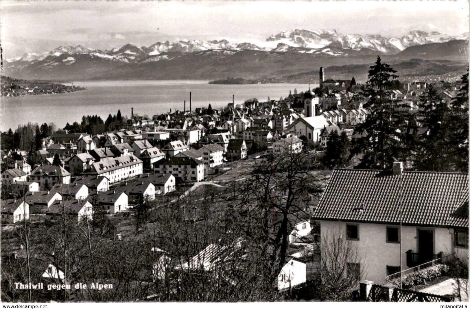 Thalwil Gegen Die Alpen (37951) * 15. 4. 1959 - Thalwil