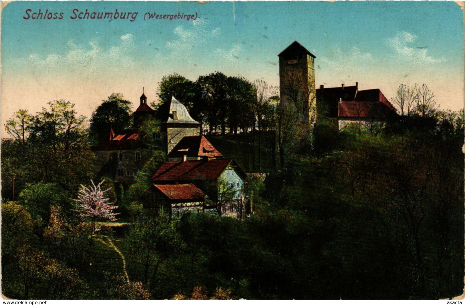 CPA AK Schloss SCHAUMBURG GERMANY (865237) - Schaumburg