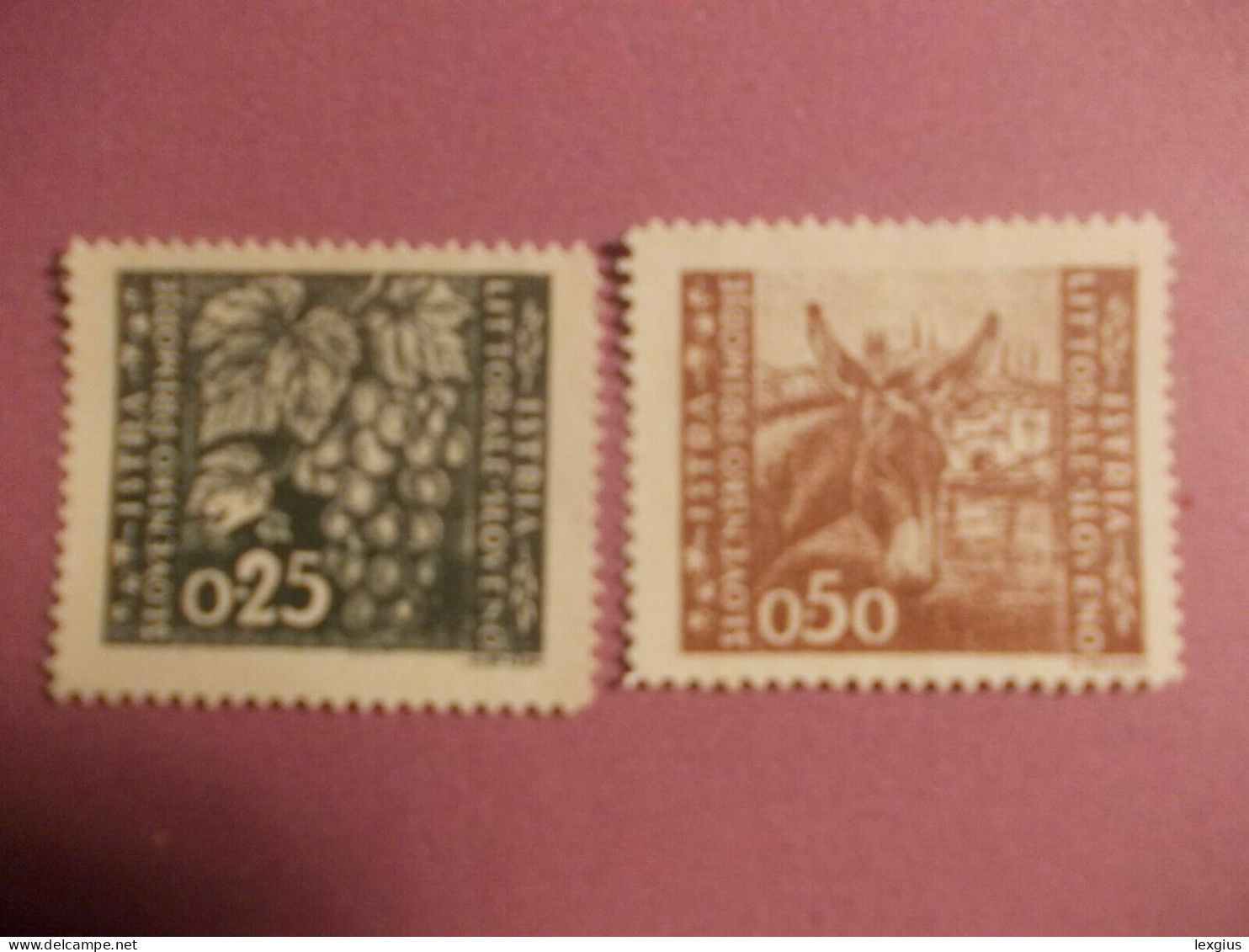 LITORALE SLOVENO SEGNATASSE (SASS.20/24) COMPLETE SET CON DECALCO + ORDINARIA - Jugoslawische Bes.: Slowenische Küste