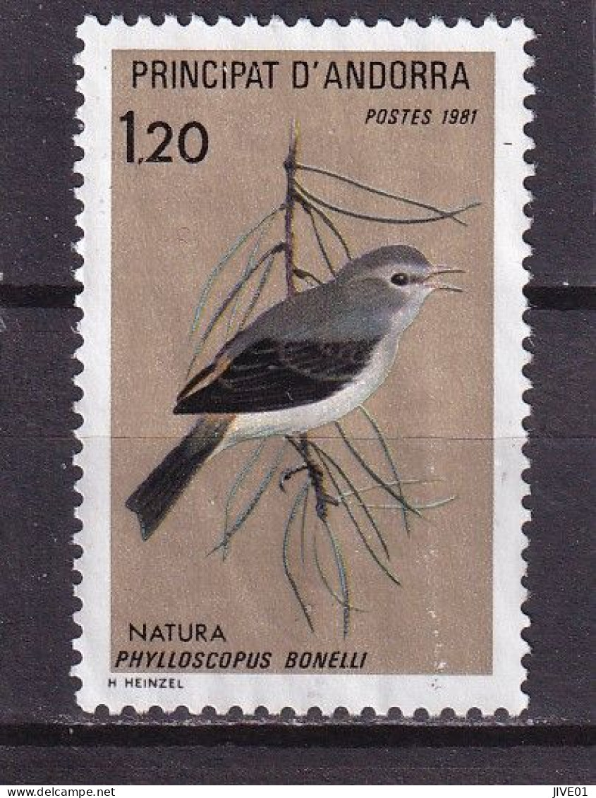 ANDORRE 1981 : OBLITERES Y/T N° 295 - Used Stamps