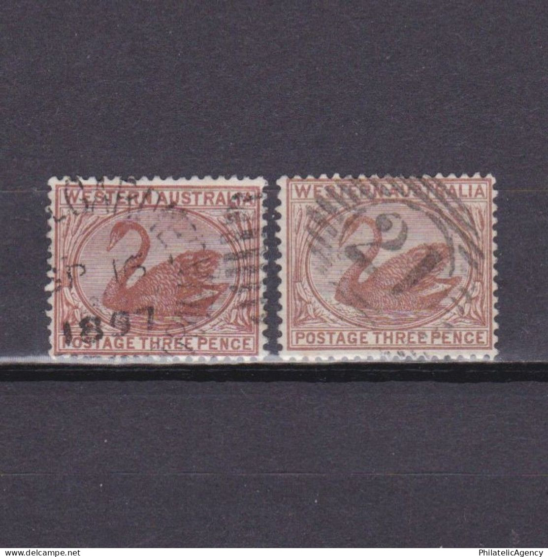 WESTERN AUSTRALIA 1882, SG# 86-87, 3d Brown (shades), Wmk Crown CA, Swan, Used - Gebraucht