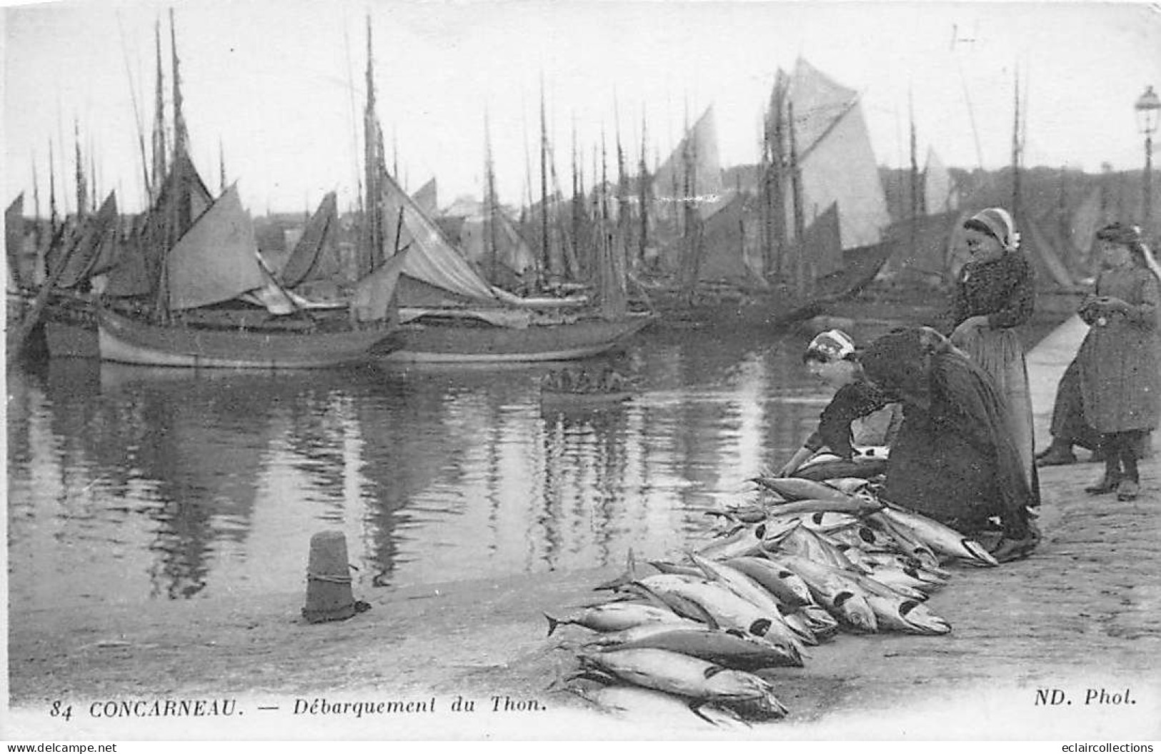 Concarneau          29         Débarquement Du Thon   N° 84    (voir Scan) - Concarneau