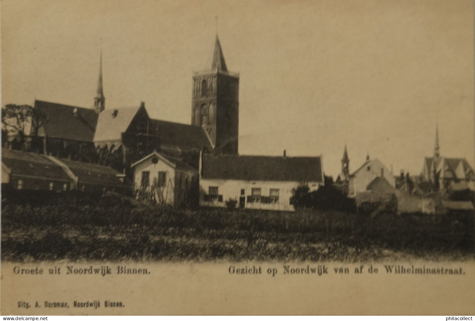 Noordwijk Binnen // Groete Uit - Gezicht Op Noordwijk Va De Wilhelminastraat Ca 1900 - Noordwijk (aan Zee)