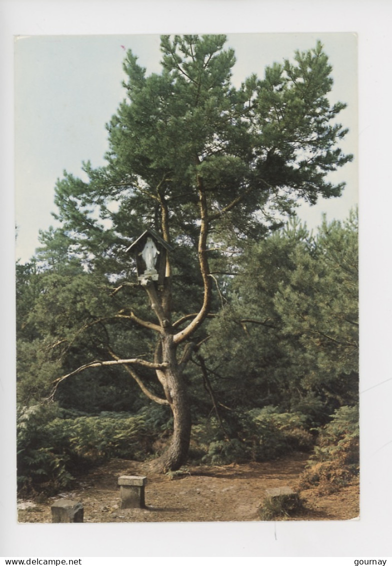 Juvigny Sous Andaine : Statue De Sainte Geneviève (cp Vierge N°13 Artaud) Arbre Près Bagnole De L'Orne - Juvigny Sous Andaine