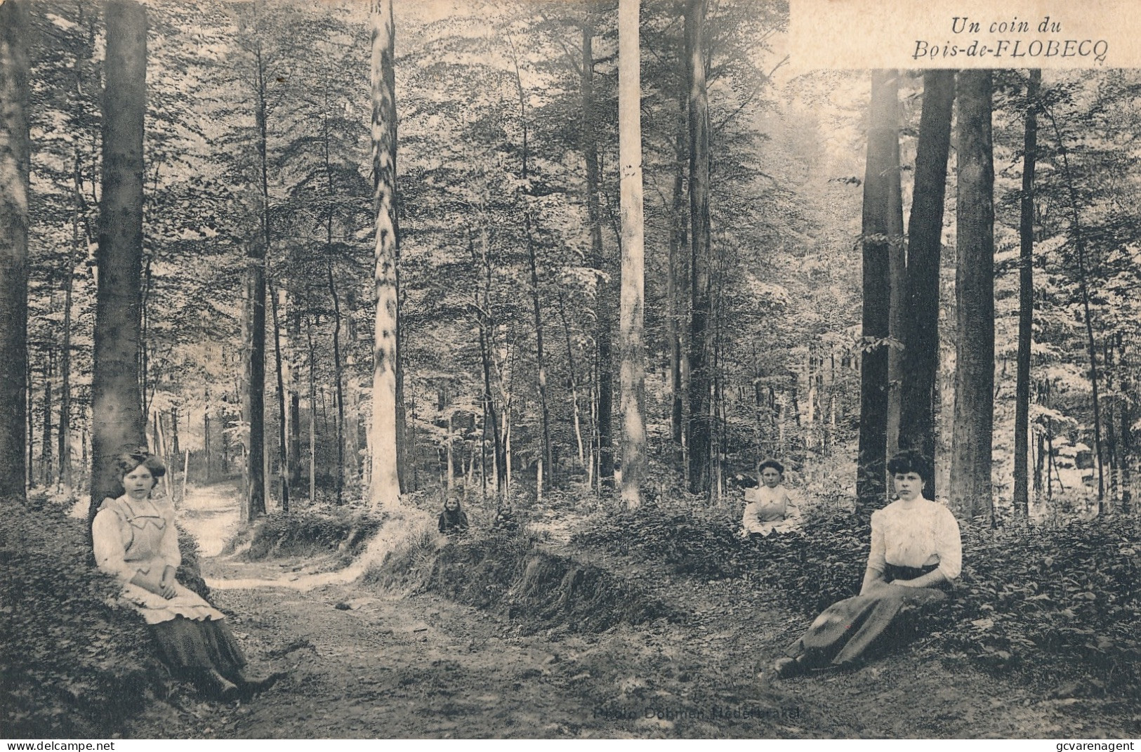 UN COIN DU BOIS DE FLOBECQ             2 SCANS - Vloesberg