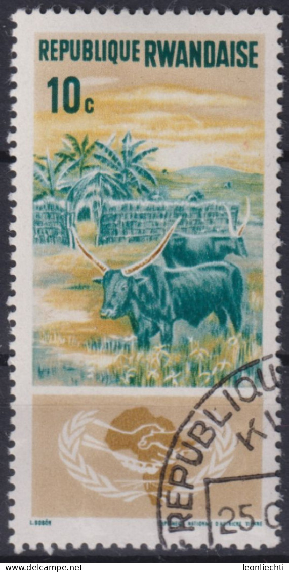 1965 Ruanda, Mi:RW 125A, Sn:RW 126, Yt:RW 118, Ankole-Watusi-Rinder (Bos Primigenius Taurus) - Usados