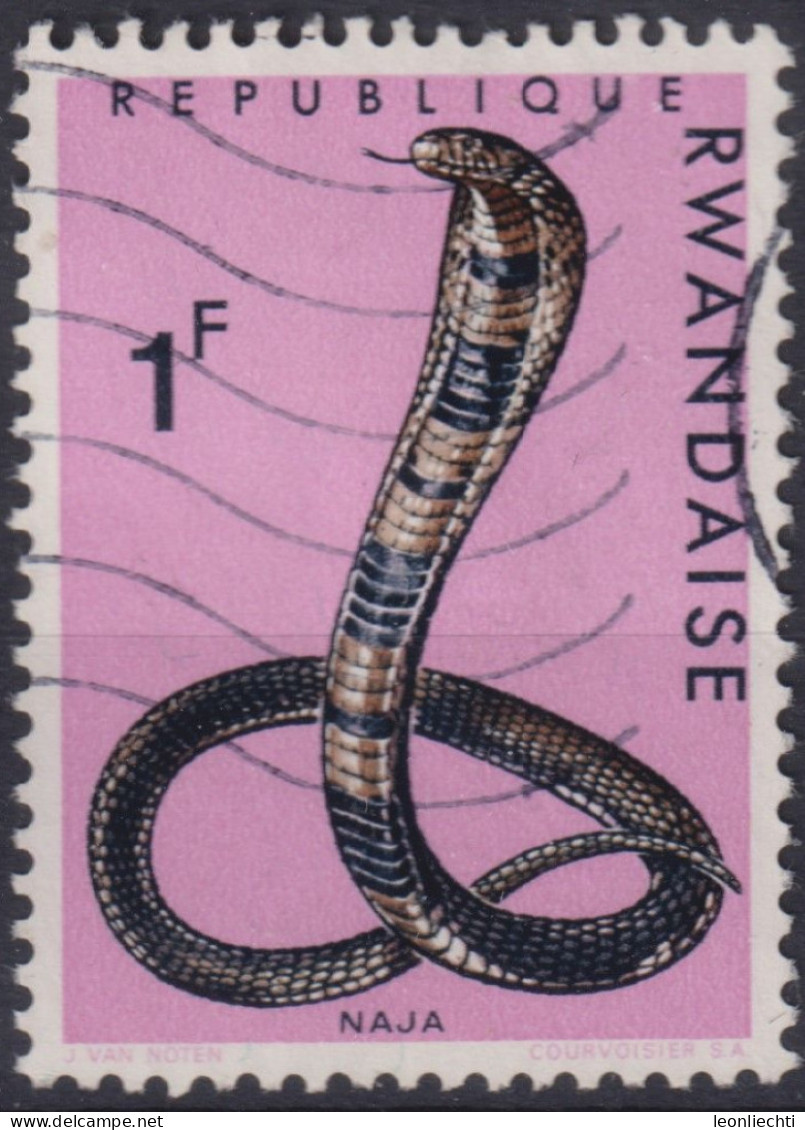 1967 Ruanda, Mi:RW 204A, Sn:RW 197, Yt:RW 194, Forest Cobra (Naja Melanoleuca), Schlangen - Oblitérés