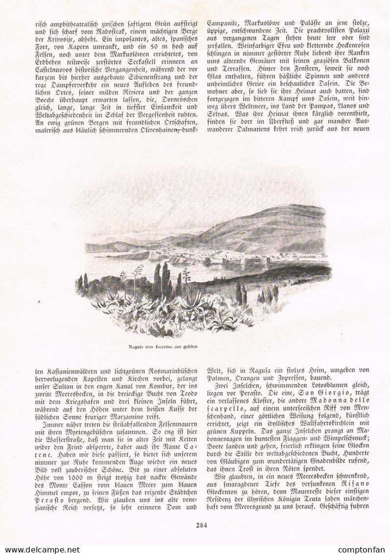 A102 1353 Cattaro Cetinje Ragusa Montenegro Artikel / Bilder 1914 !! - Sonstige & Ohne Zuordnung