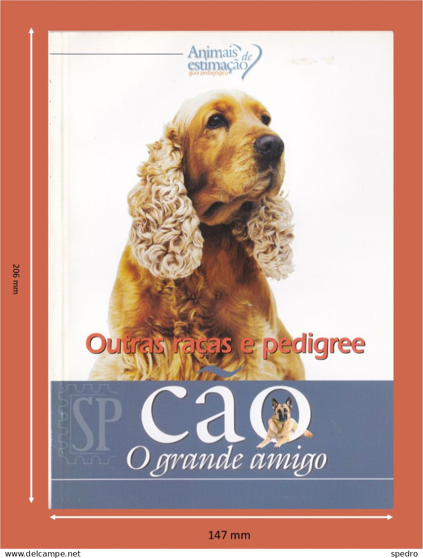 Portugal 1998 Guia Pedagógico Dos Animais De Estimação Cão O Grande Amigo Outras Raças E Pedigree N.º 5 Dog Animal Chien - Vita Quotidiana