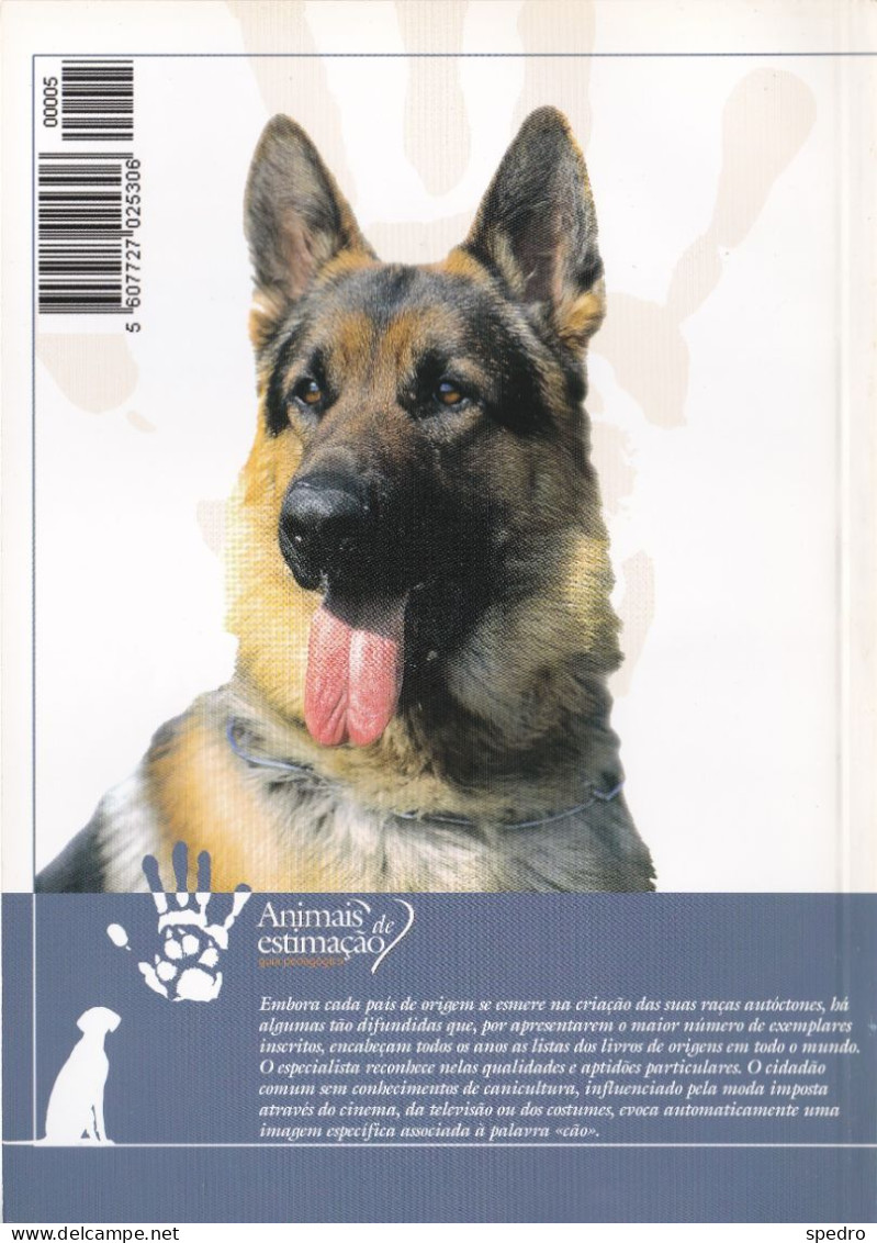 Portugal 1998 Guia Pedagógico Dos Animais De Estimação Cão O Grande Amigo Outras Raças E Pedigree N.º 5 Dog Animal Chien - Praktisch