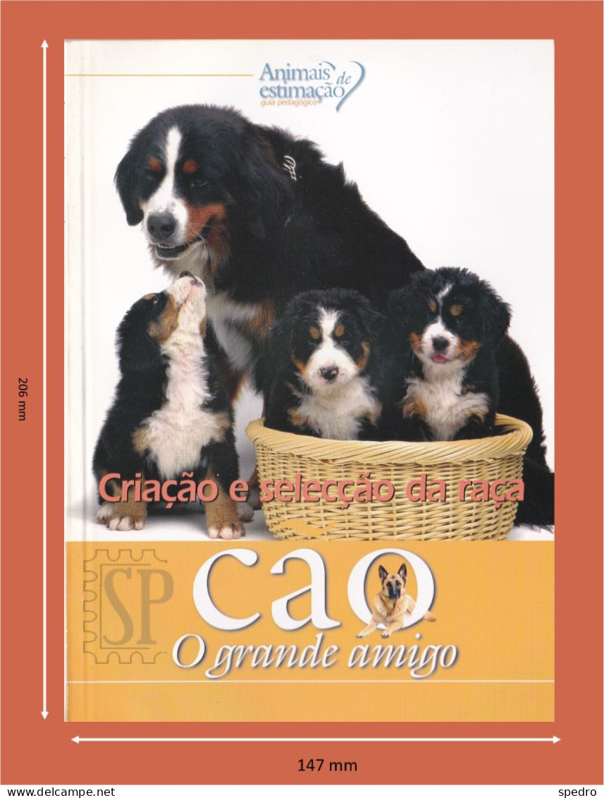 Portugal 1998 Guia Pedagógico Dos Animais De Estimação Cão O Grande Amigo Criação E Selecção Da Raça N.º 6 Dog Animal - Pratique