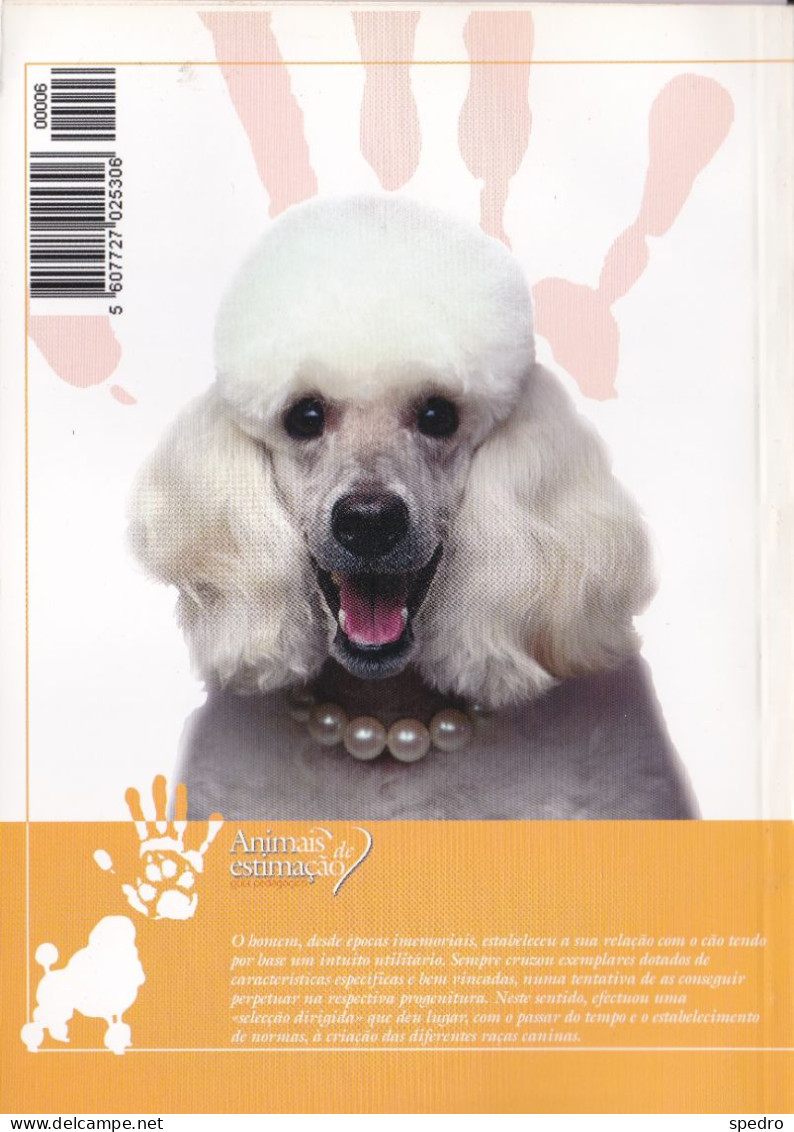 Portugal 1998 Guia Pedagógico Dos Animais De Estimação Cão O Grande Amigo Criação E Selecção Da Raça N.º 6 Dog Animal - Vita Quotidiana