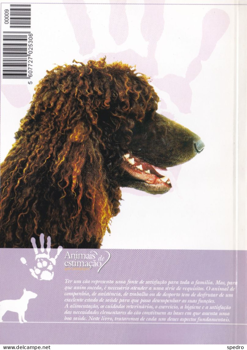 Portugal 1998 Guia Pedagógico Dos Animais De Estimação Cão O Grande Amigo Cuidados E Alimentação N.º 9 Dogs Animal - Pratique