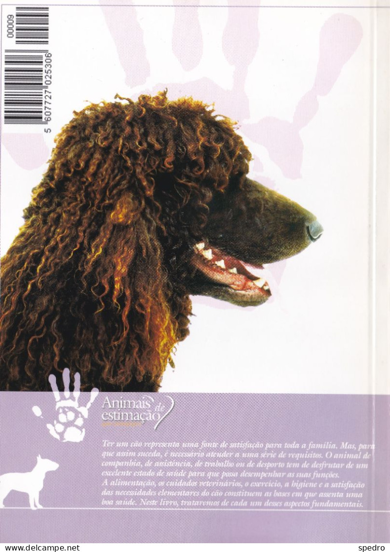 Portugal 1998 Guia Pedagógico Dos Animais De Estimação Cão O Grande Amigo Cuidados E Alimentação N.º 9 Dogs Animal - Practical