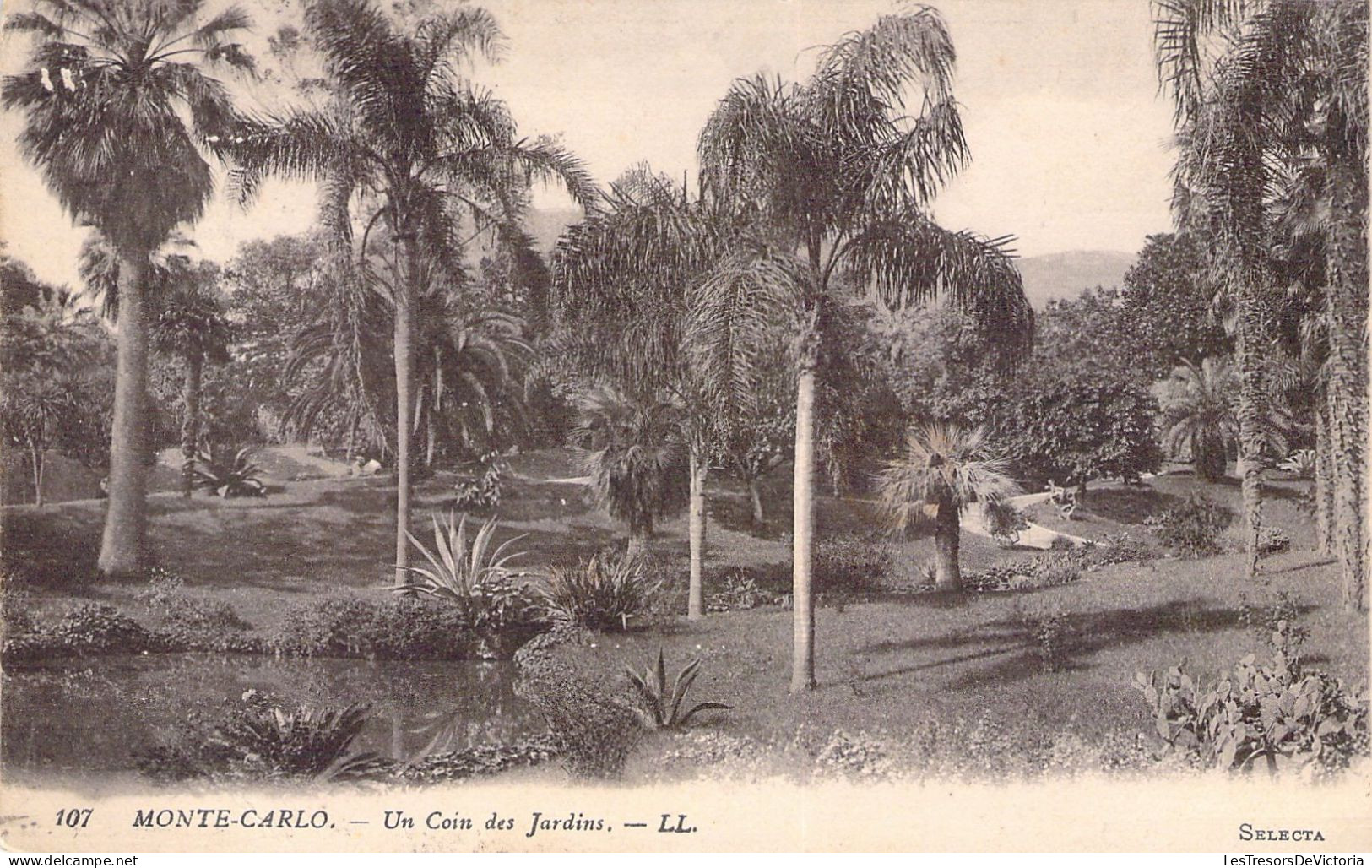 MONACO - Monte Carlo - Un Coin Des Jardins - LL - Carte Postale Ancienne - Monte-Carlo