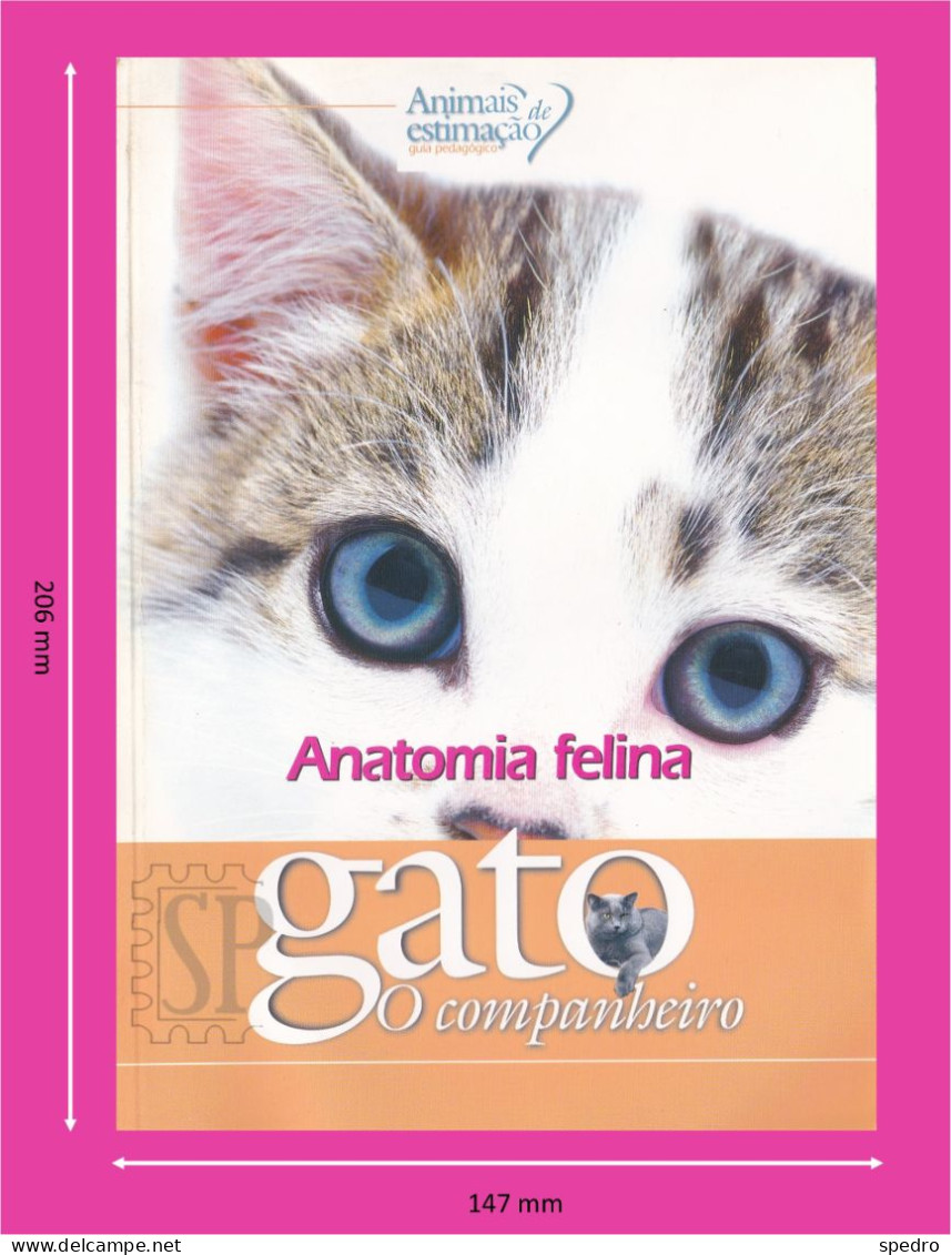 Portugal 1998 Guia Pedagógico Dos Animais De Estimação Gato O Companheiro Anatomia Felina N.º 24 Cats - Praktisch