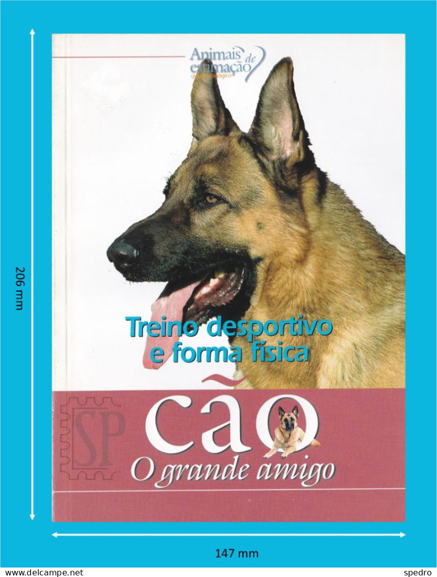 Portugal 1998 Guia Pedagógico Dos Animais De Estimação Cão O Grande Amigo Treino Desportivo E Forma Física N.º 13 Dogs - Practical