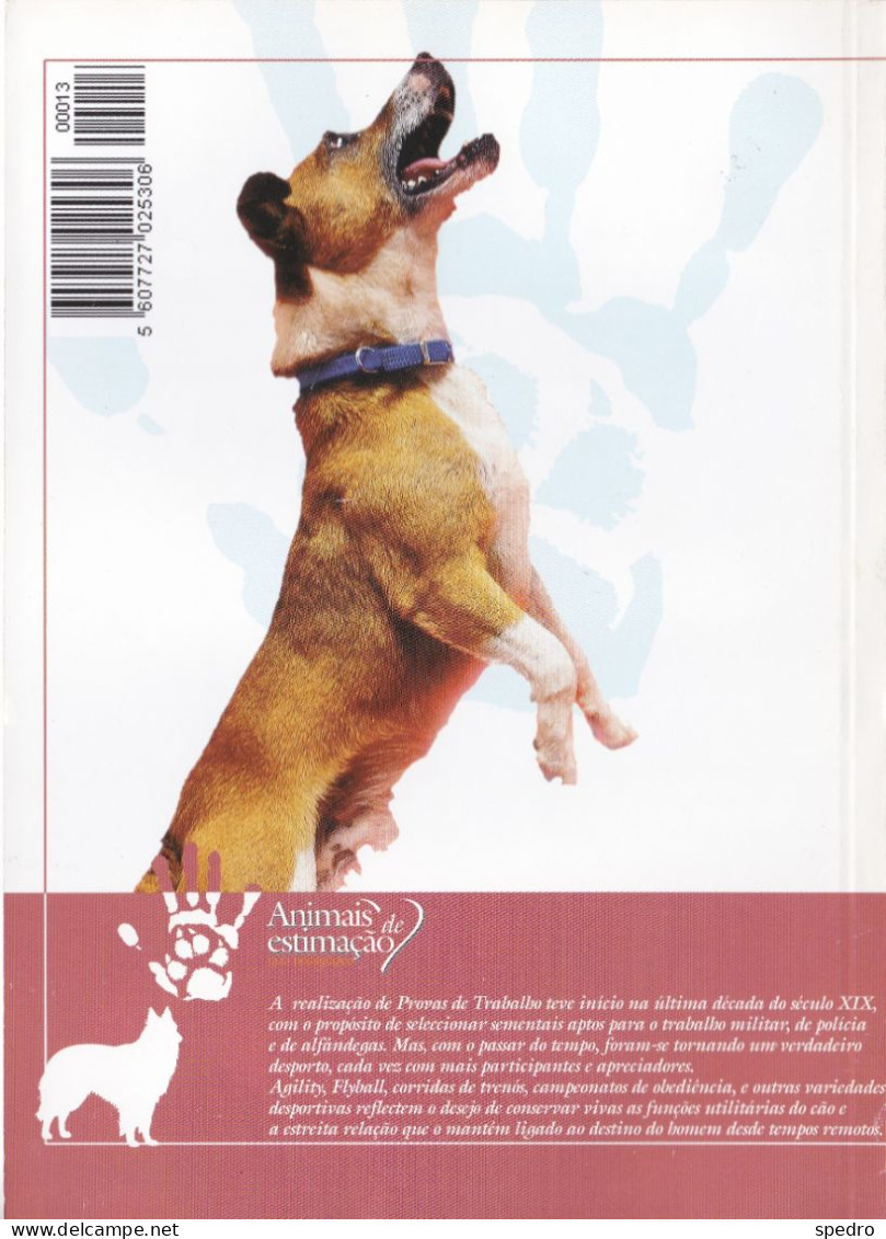 Portugal 1998 Guia Pedagógico Dos Animais De Estimação Cão O Grande Amigo Treino Desportivo E Forma Física N.º 13 Dogs - Vita Quotidiana