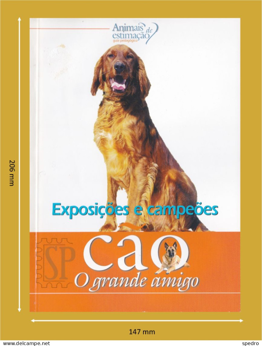 Portugal 1998 Guia Pedagógico Dos Animais De Estimação Cão O Grande Amigo Exposições E Campeões N.º 16 Dogs - Práctico