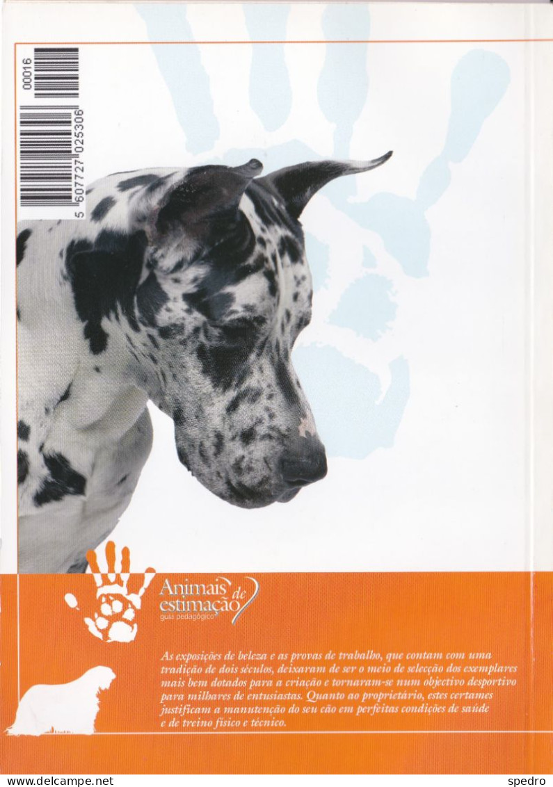 Portugal 1998 Guia Pedagógico Dos Animais De Estimação Cão O Grande Amigo Exposições E Campeões N.º 16 Dogs - Practical