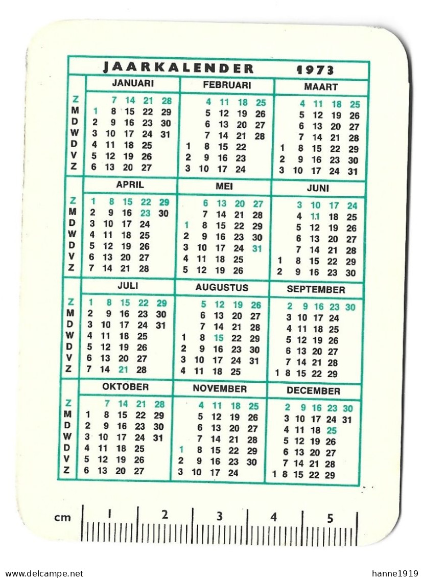 Gazet Van Antwerpen Gazet Van Mechelen GA Overzee 1973 Kalender Htje - Small : 1971-80