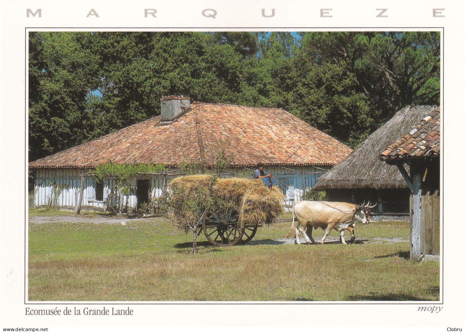 40, Sabres, Ecomusée De La Grande Landes, La Maison De Maître - Sabres