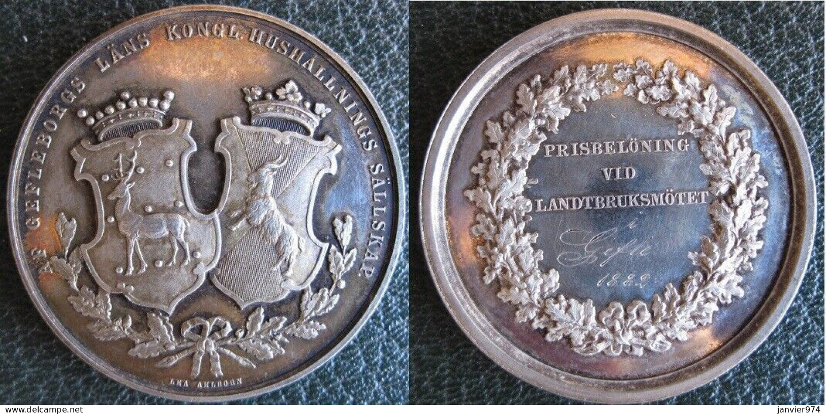 Suède. Médaille En Argent, Gefleborgs Läns Kungl 1882, Par Lea Ahlborn - Royal / Of Nobility