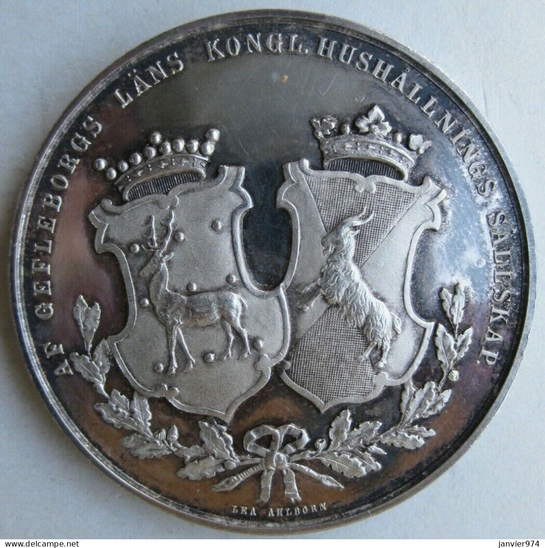 Suède. Médaille En Argent, Gefleborgs Läns Kungl 1882, Par Lea Ahlborn - Monarchia / Nobiltà
