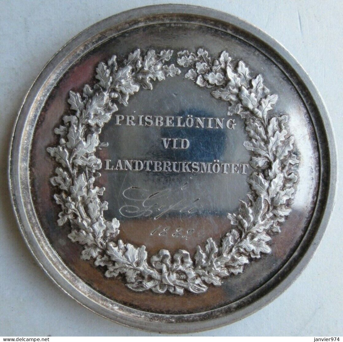 Suède. Médaille En Argent, Gefleborgs Läns Kungl 1882, Par Lea Ahlborn - Adel