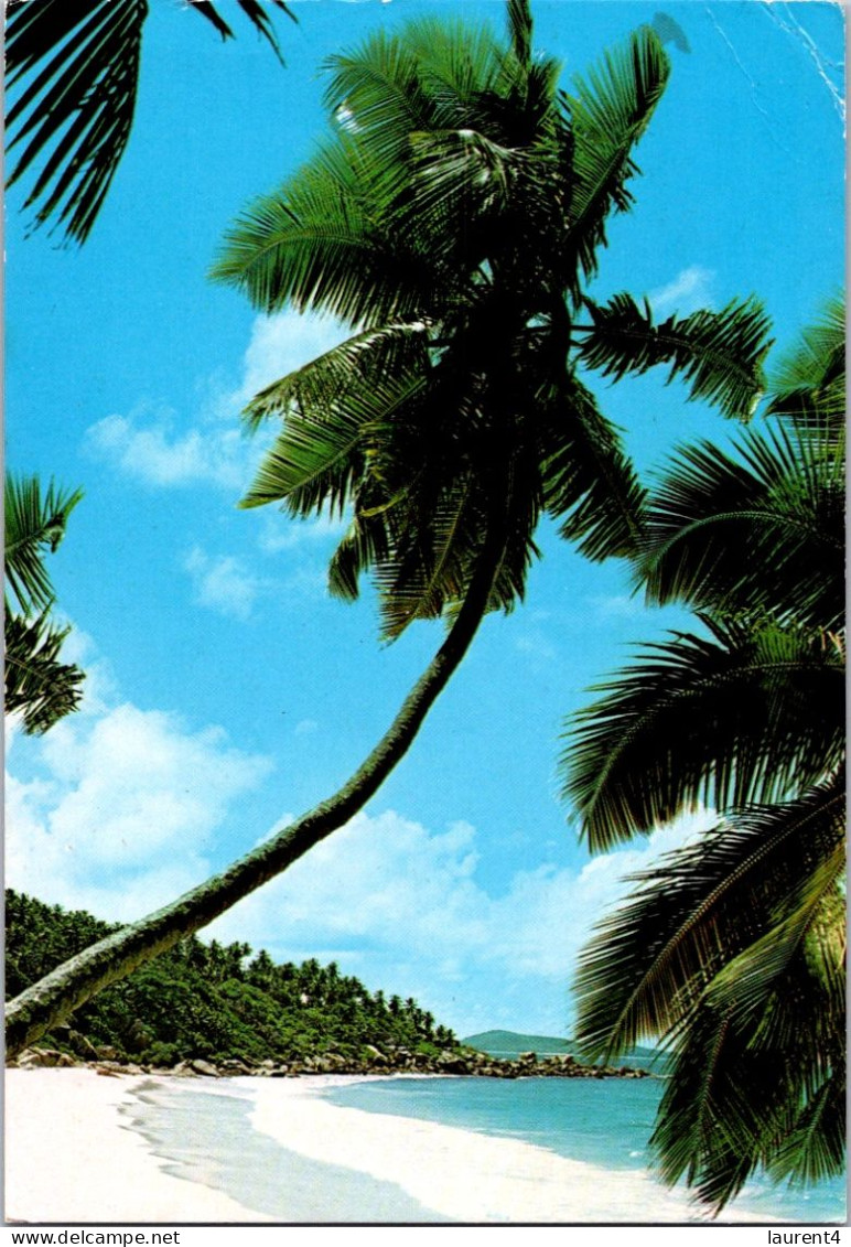 (1 Q 6) Seychelles (posted To France With Whale Stamp) Petite Anse - Seychelles