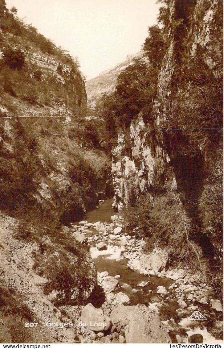 FRANCE - Régions - Provence-Alpes-Côte D'Azur - Gorges Du Loup - Carte Postale Ancienne - Provence-Alpes-Côte D'Azur