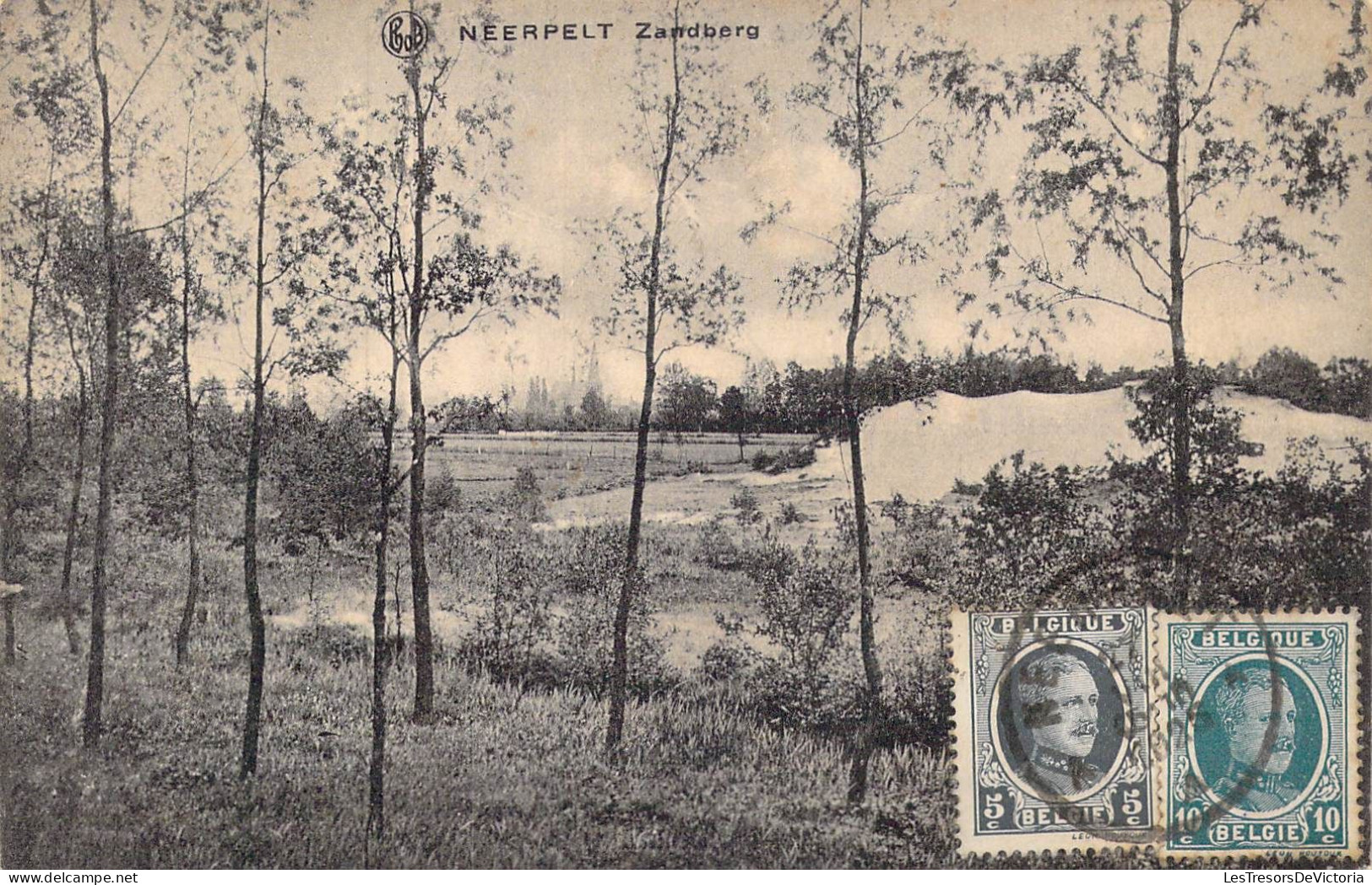 BELGIQUE - Neerpelt - Zandberg - Carte Postale Ancienne - Neerpelt