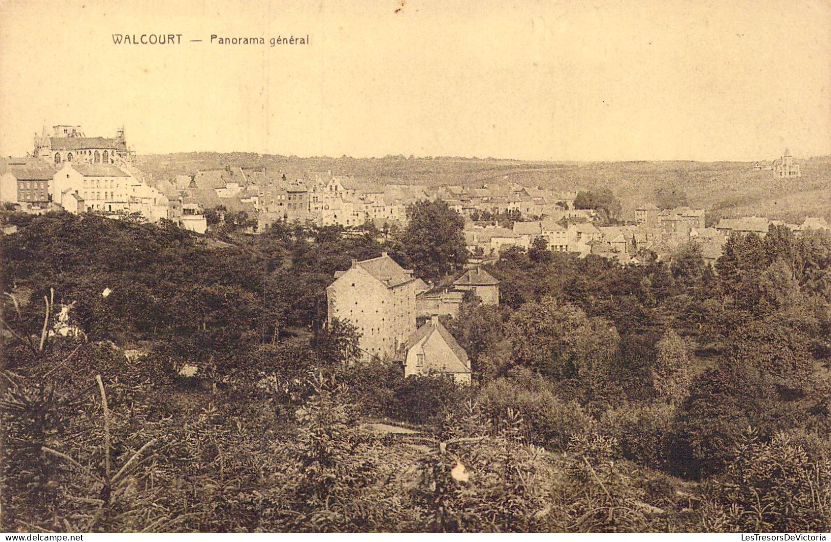 BELGIQUE - Walcourt - Panorama Général - Carte Postale Ancienne - Walcourt