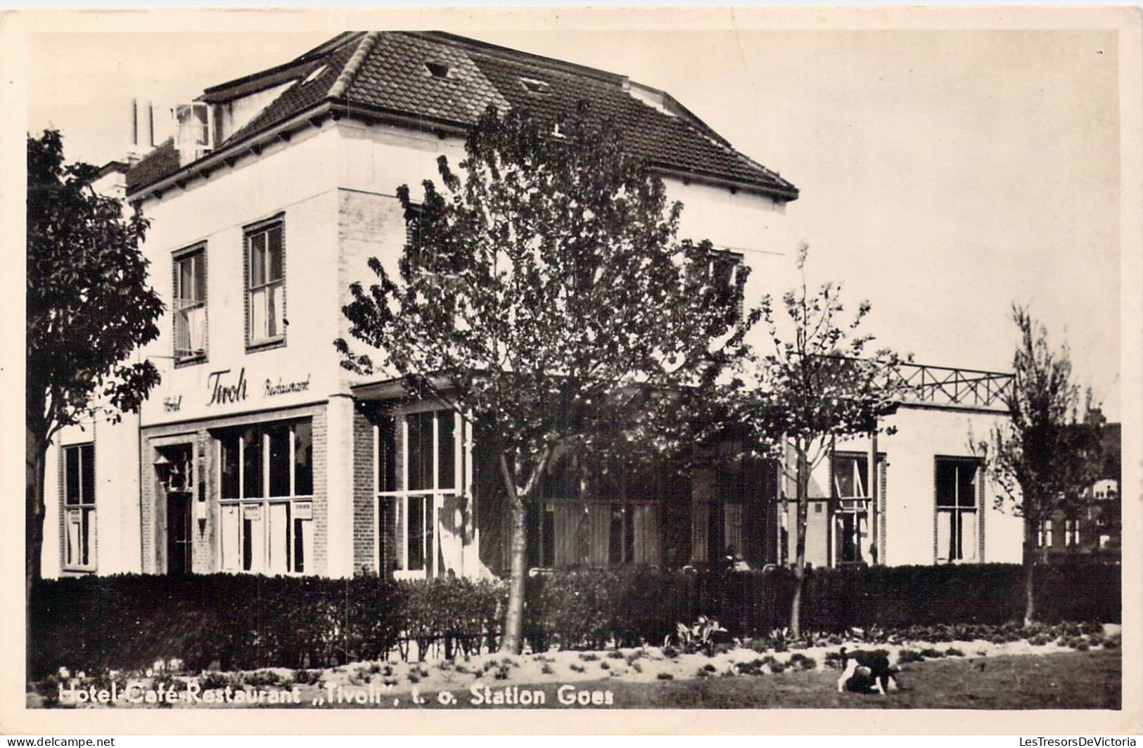 ITALIE - Tivoli - Hôtel Café Restaurant - Carte Postale Ancienne - Tivoli